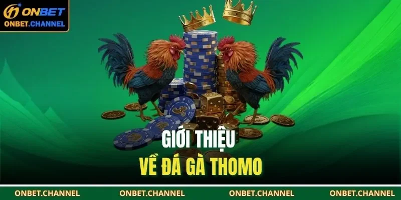 Giới thiệu về đá gà Thomo