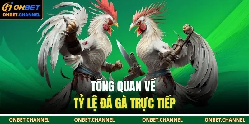 Tỷ Lệ Đá Gà Trực Tiếp | Cập Nhật Liên Tục 24/7 Tại ONBET 1 Tổng quan về tỷ lệ đá gà trực tiếp