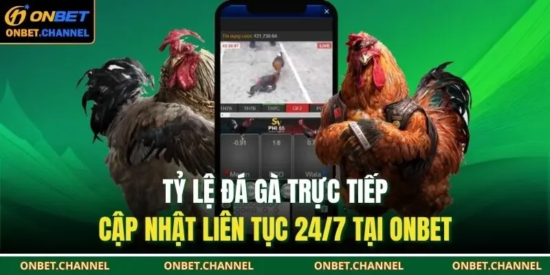 Tỷ lệ đá gà trực tiếp là công cụ phân tích quan trọng